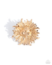 Load image into Gallery viewer, Ornate Operation - Gold
