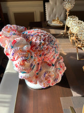Load image into Gallery viewer, Crochet Bucket Hats
